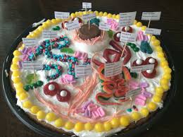 Pin By Leigh Leigh On Educational Edible Cell Animal Cell Project Edible Animal Cell