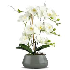 Large luxury artificial orchid flower arrangement faux stone grey black vase. Livilan White Orchid Artificial Flowers With Pot Large Fake Silk Orchids Plant Orquidea Artificial Phalaenopsis Orchid With Ceramic Grey Vase Indoor Decor Table Decoration Pricepulse