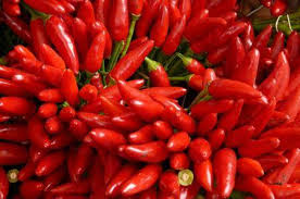 Pickled are also most common, although you can use fresh peppers in. Il Peperoncino Home Pisa Italy Menu Prices Restaurant Reviews Facebook