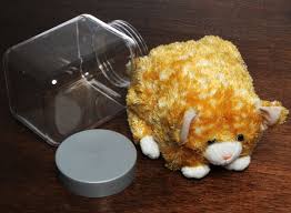 Bonsai kitten, also called rectilinear kittens, is the ancient japanese art of growing live cats inside tiny jars. Bonsai Kitty Plush Kitten Stuffed In A Jar Based On Early Internet Meme