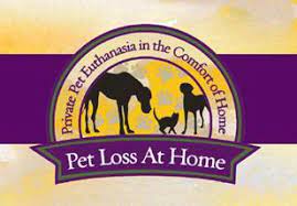 Pet loss at home albuquerque. Private Pet Euthanasia Pet Loss At Home