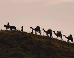 Kenya bush and beach family safari. Camel Safaris The Luxury Safari Company