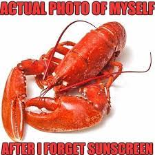 Memes Memeofmyday Lobster Sunburntface Sunburn Forgotthesunscreen Crab Crustaceans Red Lobster