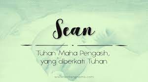 Dengan aplikasi arti nama bayi anda tidak perlu repot mencari referensi nama beserta artinya. Arti Nama Sean Tentangnama