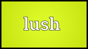 Lush Meaning Youtube