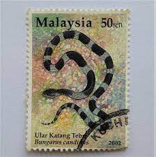 Species Of Snakes In Malaysia 2 Stamp Stamp Collecting Stamp Stamp Values