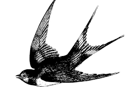 Rose and swallow tattoo design idea for men and women. Tattoo Ideas Design Black Heart Red