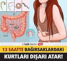 Bagirsak Kurdu Dokturen Dogal Kur Tarifi Bagirsak Kurtlari Her Yasta Gorulen Bir Hastaliktir Halsizlik Kusma Z Natural Cures Health Insurance Plans Health