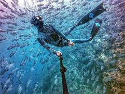 Apa yang menarik di sabah? Aktiviti Tempat Menarik Di Pulau Mabul Panduan Lengkap Borneo Travel Cruise Travel Cruise Vacation