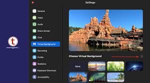 Add Some Disney Spirit To Your Virtual Meeting How To Change Your Zoom Background Touringplans Com Blog