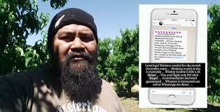 At least 34 malaysians (including 2 minors) have found themselves detained by australian immigration officials after falling victims to fruit picking scams. Undercover Malaysian Journalist Exposes Good Paying Fruit Picking Jobs In Australia World Of Buzz