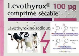 Après 4 jours de l thyroxine, plus de maux de tête, plus de douleurs musculaires, plus ce gout d'acide dans la bouche, c'est à croire que. Interaction Entre Levothyroxine Et Lait Pharamster Un Regard Officinal Independant Sur Les Medicaments