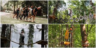 We did not find results for: 6 Parcuri De AventurÄƒ Aproape De Cluj Unde Te PoÈ›i Distra Vara Aceasta