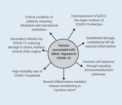 Knowing the warning signs can help you take the right steps if you or loved ones become sick. Silent Hypoxia In Covid 19 Pathomechanism And Possible Management Strategy Springerlink