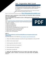 Drag the flipbook pages, zoom or change the pages with the keyboard. Plant And Animal Cell Webquest Pdf Cytoplasm Cell Biology