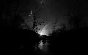 We've gathered more than 5 million images uploaded by our users. Dark Nature Wallpaper For Pc 1920x1200 Download Hd Wallpaper Wallpapertip