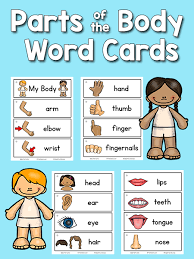Students label eight parts of the body (arm, hand, leg, foot, eye, mouth, ear, nose). Body Parts Picture Word Cards Prekinders