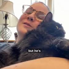 🐾 Meet Klaus, a 5-year-old cuddlebug with a snuggly purrsonality that’ll  melt your heart! 💕 This