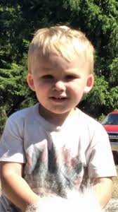 Thoroughbred horse behavior