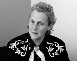 Aspiritech 2018 Annual Report by Aspiritech