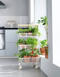 Risatorp Servierwagen Weiss Ikea Deutschland In 2020 Ikea Garten Krautergarten Drinnen Und Diy Gartenbau