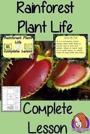 Identifying Rainforest Plant Life Complete Steam Lesson Rainforest Plants Plant Lessons Planting For Kids