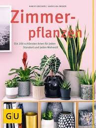 Luftreinigende Pflanzen Diese Pflanzen Verbessern Das Raumklima Pflanzen Zimmerpflanzen Und Wohnstile