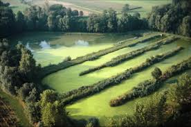 Toutefois, cette technique nécessite de grandes surfaces foncières et s'adapte très mal aux variations saisonnières importantes (cas des sites. Le Traitement Des Eaux Usees Par Lagunage Assistance Scolaire Personnalisee Et Gratuite Asp