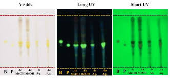 Image result for Annickia lebrunii