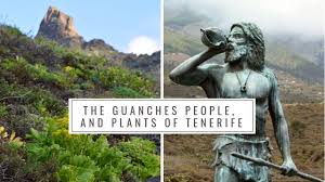 Maybe you would like to learn more about one of these? The Guanches People And Native Plants Of Tenerife Canary Islands History Medicinal Plants Youtube