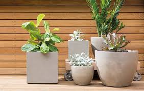 Our newest additions are these exquisite 6 inch diameter hand glazed beauties. Pots And Plants Store Brooklyn Planting Pots Brooklyn