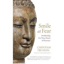 The Buddha's Nose: One Man's Journey Through an Imperfect Life: Heaton,  Ted: 9780992342234: Amazon.com: Books