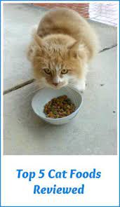 Top 5 Cat Foods Best Cat Foods Reviewed For 2018 Cat Food Reviews Best Cat Food Cat Food