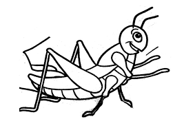 This is one coloring page. Grasshopper Coloring
