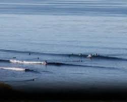 Sunset boulevard in la county is an exposed point break that has consistent surf and can work at any time of the year. Surf Cams Live Beaches