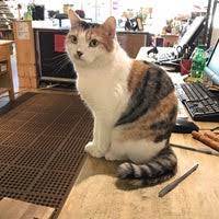 Easily accessed, eco friendly design of multiple small parking lots, well marked and maintained trails and areas, awesome layout, inviting nooks in which to read/study/picnic. Next To Nature West Seattle 4543 California Ave Sw
