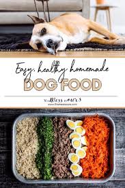 Easy Homemade Dog Food Recipe This Mess Is Ours Recipe Dog Food Recipes Healthy Dog Food Recipes Food