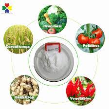 Maybe you would like to learn more about one of these? China Kinetin Treatmenton Growth For Plants In Tissue Culture China Kinetin 6kt 6 Furfurylaminopurin Kinetin
