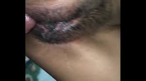 Encuentra las panochas peludas más calientes