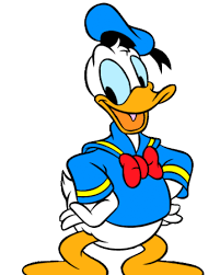 The anatidae family also includes swans, which are larger and have a longer neck than ducks. Donald Duck Disney Wiki Fandom