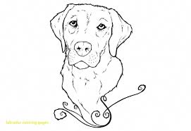 See Our Internet Site For More Information On Golden Labrador It Is An Exceptional Spot To Find Out M Dog Coloring Page Dog Coloring Book Puppy Coloring Pages
