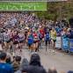 Door County Half Marathon & Nicolet Bay 5k event image