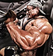 Roelly Winklaar Wallpapers Wallpaper Cave Roelly winklaar took 3rd place at the 2018 mr. roelly winklaar wallpapers wallpaper cave