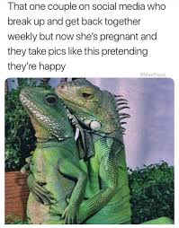 I Think I Went To High School With These Lizards Animal Memes Funny Animal Memes Funny Memes