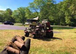 You'll want to rake out the dead grass and rough up the topsoil a bit to ensure good seed/soil contact. 7 Aeration And Overseeding Mistakes You Should Avoid