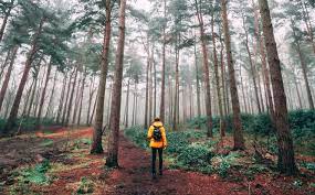 Tatil #holiday #antalya antalya'nın muhteşem sahiliyle ünlü çirali'da en ekonomik ve doğa ile iç içe tatili detaylarıyla sizler için. Doga Ile Ic Ice Tatil Doga Tatili Yapilacak Yerler Momomdo Kesfet