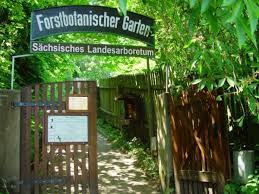Forstbotanischer Garten Tharandt