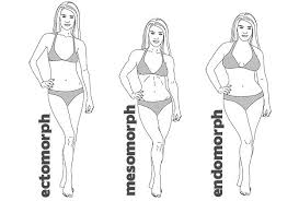 Get some help from celebrity stylist corey roché to find out what body type is the best match for your figure. Train Right For Your Body Type Healthy Home Economist