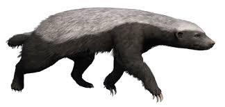 We did not find results for: Honey Badger Far Cry Wiki Fandom