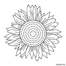 Ausmalbild Sonnenblume Stock Image And Royalty Free Vector